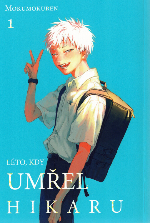 obal knihy - Léto, kdy umřel Hikaru